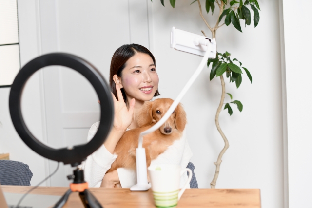 合同会社キャストライト